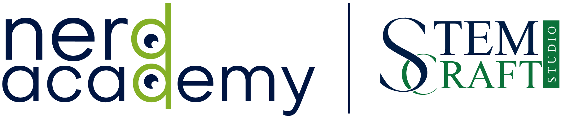 Nerd Academy